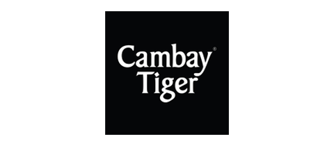 Cambay Tiger